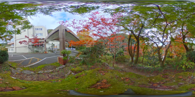 Kiimiso — photo 10