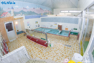 Gokurakuyu super public bath — photo 11