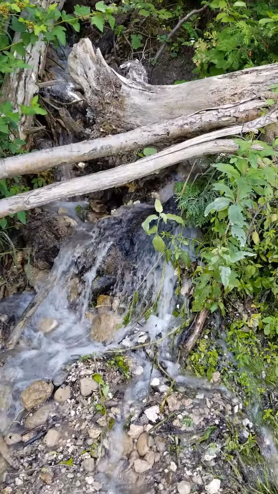 Natural spring