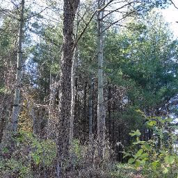 Natural spring — photo 06