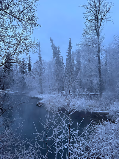Liard River Hot Springs Provincial Park — photo 34