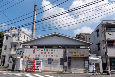 Otome — photo 11