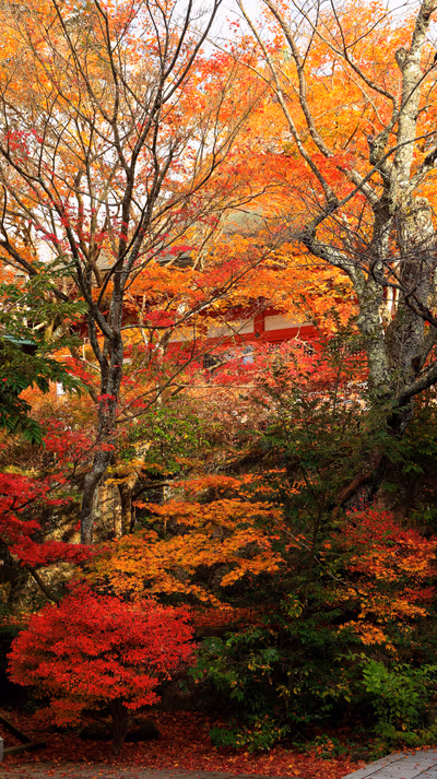 Yakuoin Onsenji Temple — photo 24