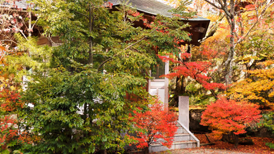 Yakuoin Onsenji Temple — photo 25