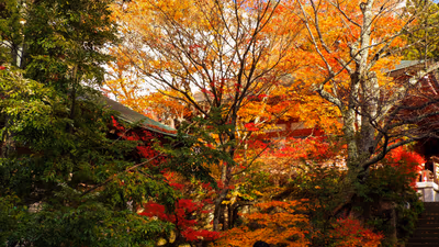 Yakuoin Onsenji Temple — photo 26