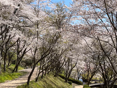 Yamaboshi Family Onsen — photo 04