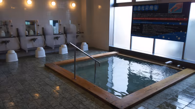 Ashigara Kintokiyu — photo 05