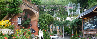 Umibe — photo 03