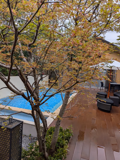 La Shōro — photo 12