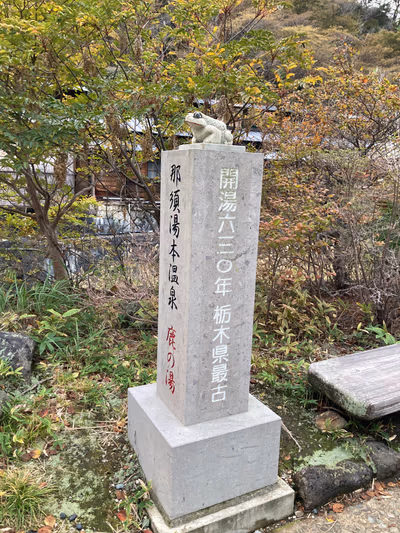 Nasu onsen Shikanoyu Hot Spring — photo 21
