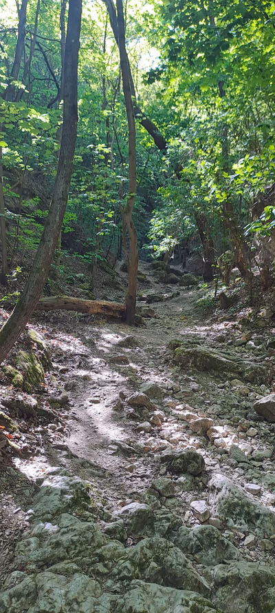 Dera Gorge — photo 16