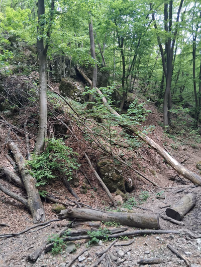 Dera Gorge — photo 22