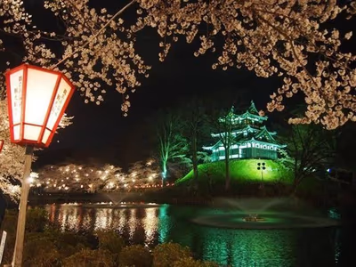 Monzennoyu — photo 15