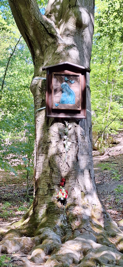 Zarándokház — photo 11