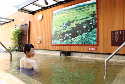 Onsen Fumizonoyu — photo 01