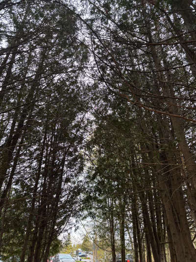 Ste. Anne's Spa — photo 06