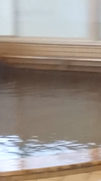 日帰り温泉とサウナ 湯谷荘 — photo 03
