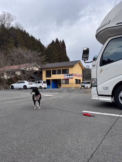 Jinsekikogen Hot Spring — photo 14