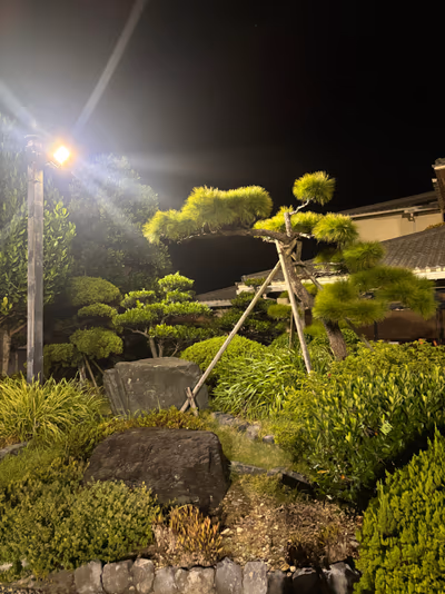 Enagic Nature Hot Spring Aroma — photo 18