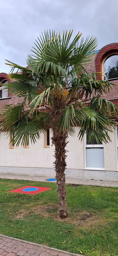 Mezőkövesd Zsóry fürdő Szabadidő és relax park. — photo 16