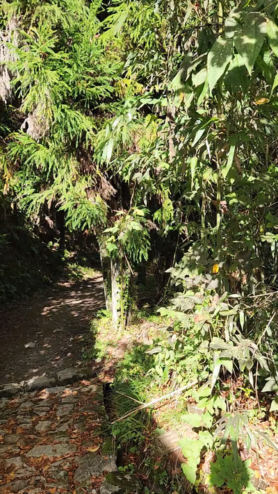 Tsumago — photo 26