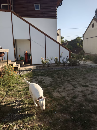 Bagamér — photo 04