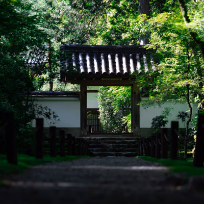Natural Radon Baro Tengu — photo 03