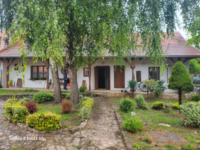 Károlyi Mansion, Fehérvárcsurgó — photo 15