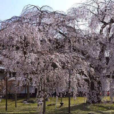 天然温泉 磐田天神の湯 — photo 04