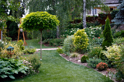 Terrace/patio — photo 09
