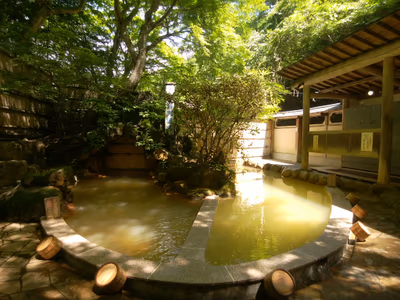 Kaneshimaonsen Fuki Hot Spring — photo 09