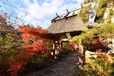 Ryokan Sumiya Kihoan すみや亀峰菴(すみやきほうあん) — photo 10