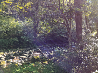 Only Yu Hot Spring Resort — photo 15
