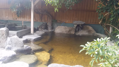 Okawa Onsen ♨️ — photo 12