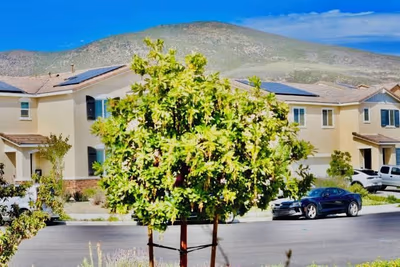 Murrieta Hot Springs — photo 21