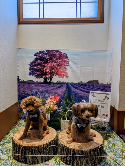 Kangetsuen — photo 26