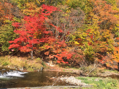 Shiobetsu Tsurutsuru Onsen — photo 09