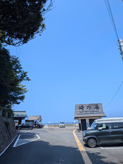 Saki — photo 09