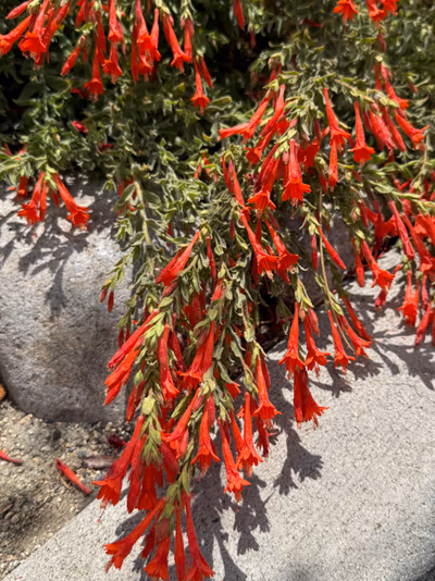 Carson Hot Springs — photo 18