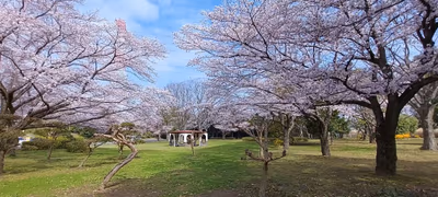 Ikoi no Sato Joso — photo 12