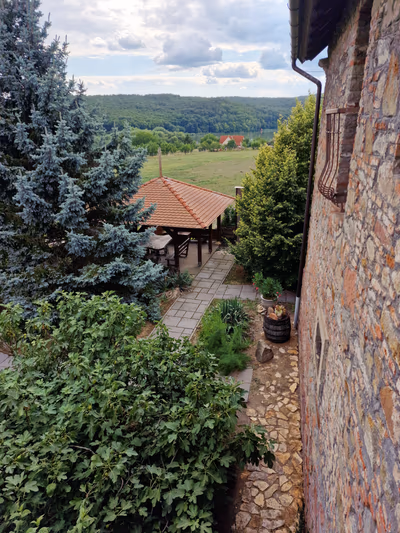 Vendégház Harsány — photo 19
