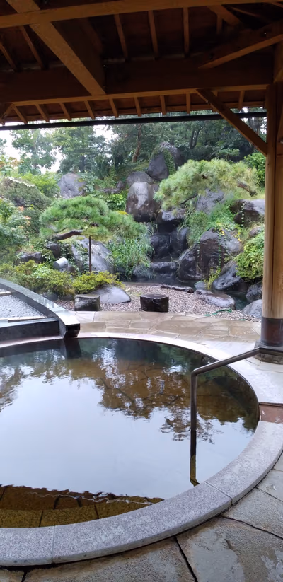 Sagae Hot Spring — photo 07