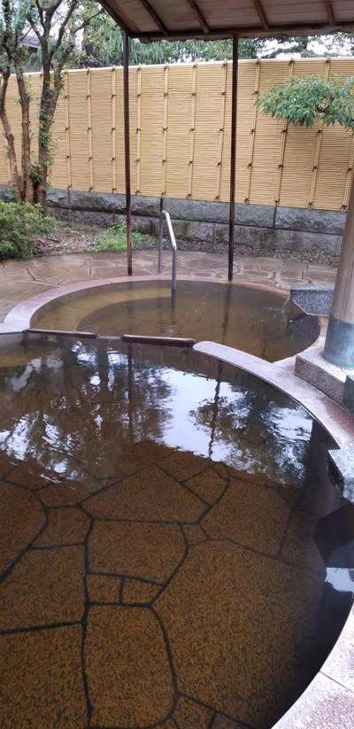 Sagae Hot Spring — photo 08