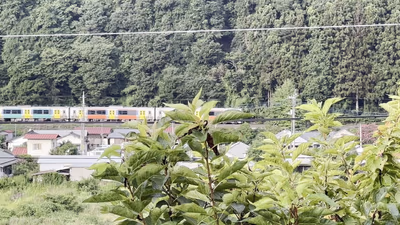 Daigo House — photo 19