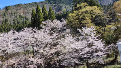 渓流温泉 冠荘 — photo 05