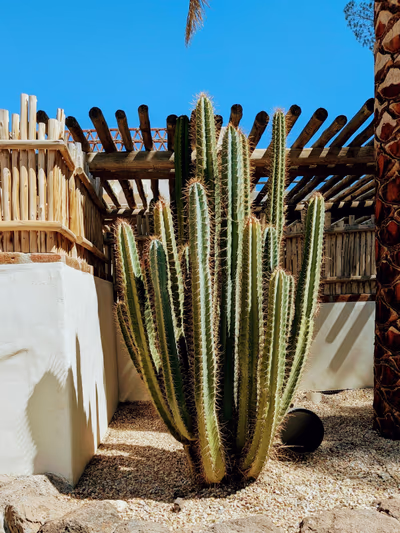 Jacumba Hot Springs Hotel — photo 21