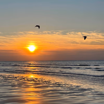 Pozsonyi strand — photo 09