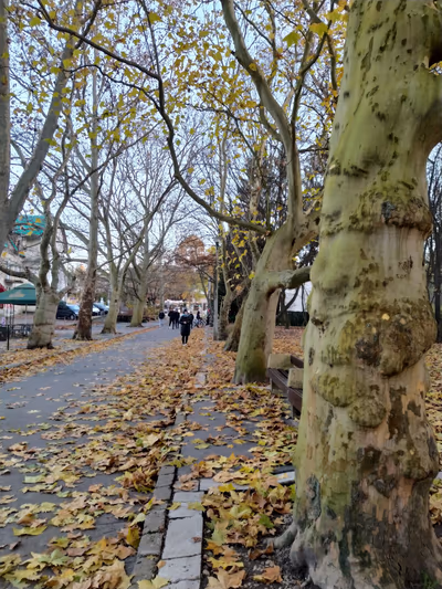 Közpark — photo 10