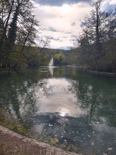 Közpark — photo 14