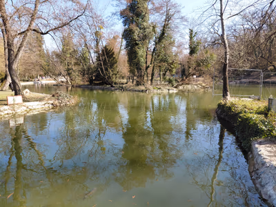 Közpark — photo 18